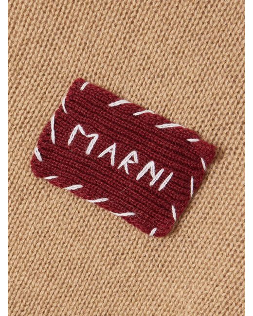 Marni Natural Appliquéd Cashmere Sweater