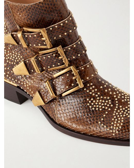Chloé Brown Susan Studded Leather Ankle Boots