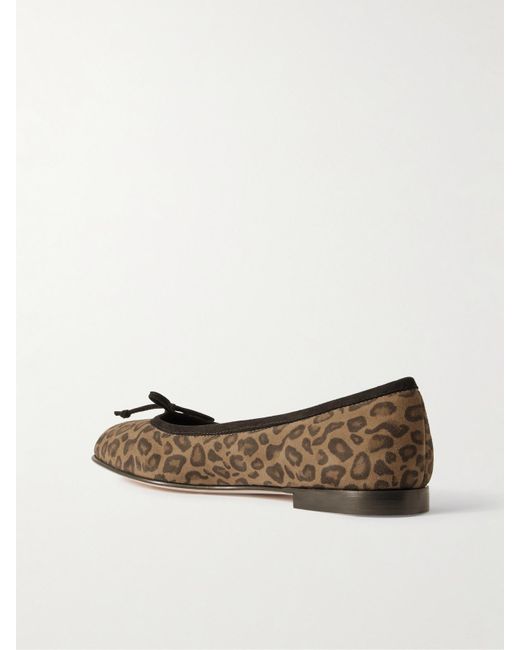 Manolo Blahnik Multicolor Veralli Bow-Detailed Leopard-Print Suede Ballet Flats