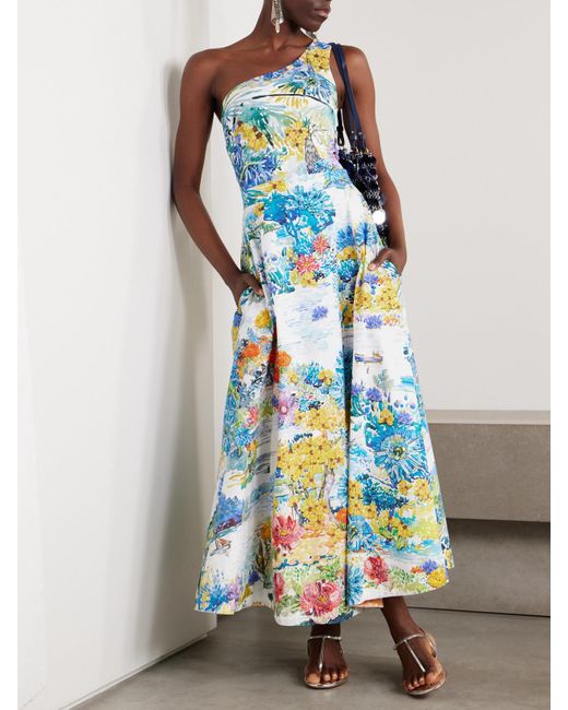 Mary Katrantzou Blue Cadiot Pleated Floral-Print Cotton-Poplin Midi Skirt