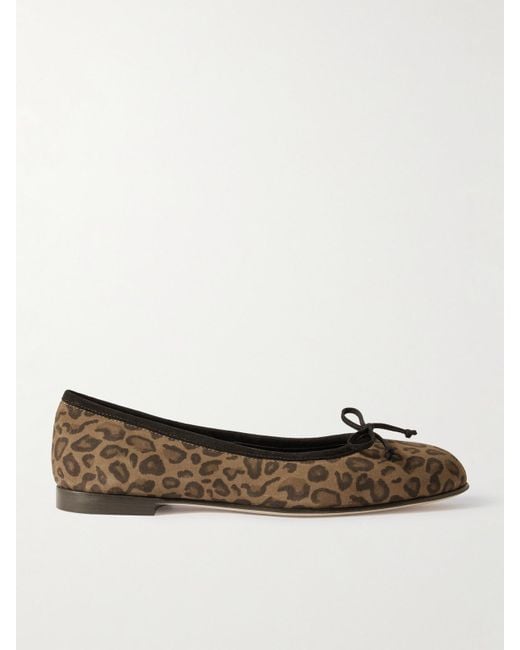 Manolo Blahnik Multicolor Veralli Bow-Detailed Leopard-Print Suede Ballet Flats