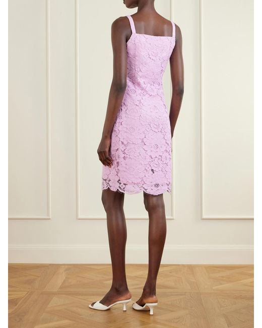 Patou Pink Floral-Embroidered Cotton-Blend Guipure Lace Midi Dress