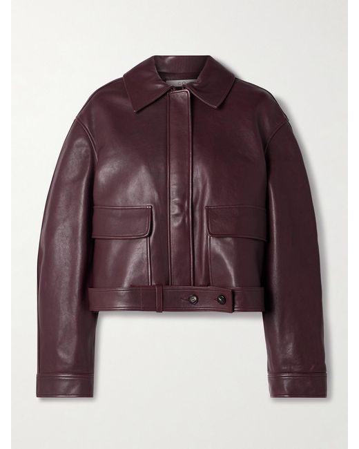 Co. Purple Belted Leather Jacket