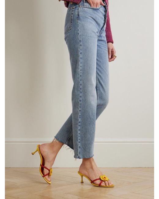 Manolo Blahnik Multicolor Paliss 50 Appliquéd Grosgrain Mules