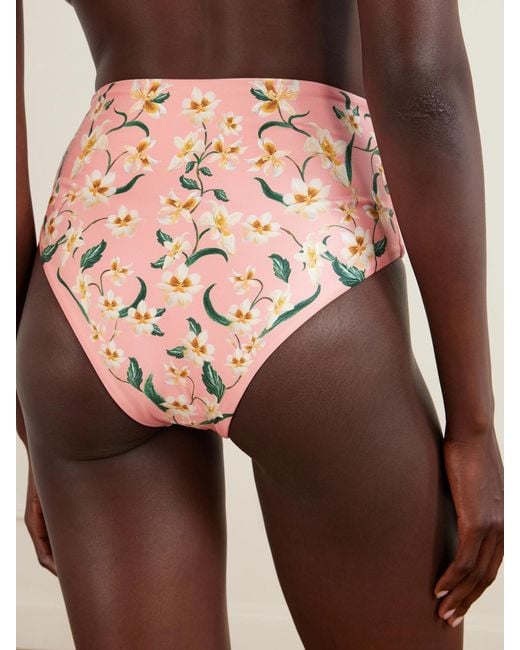 Agua Bendita Pink Promesa Floral-Print Bikini Brief