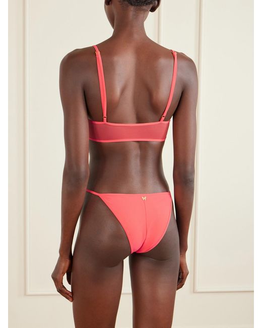 Kiki de Montparnasse Red Peep Show Mesh-Trimmed Bikini Brief