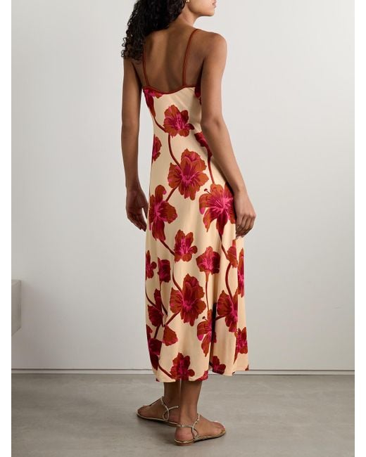 Johanna Ortiz Red Sendero De Astromelias Floral-Print Satin Maxi Dress