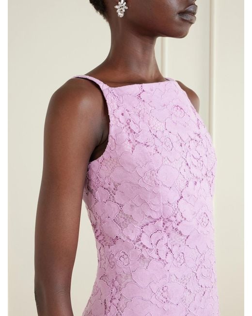 Patou Pink Floral-Embroidered Cotton-Blend Guipure Lace Midi Dress