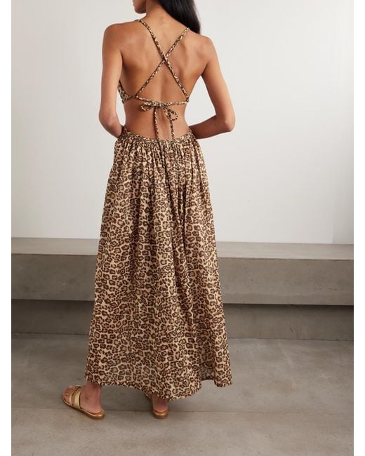 Zimmermann Natural Wanderlust Cutout Leopard-Print Cotton-Voile Maxi Dress