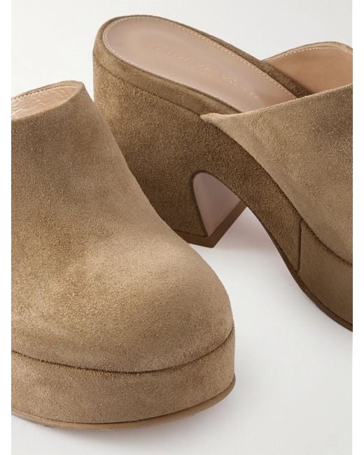 Gianvito Rossi Brown Lyss 55 Suede Mules