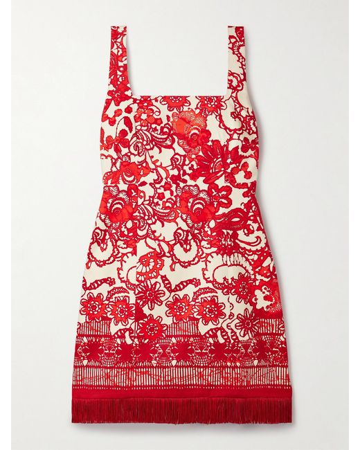 Cara Cara Red Anna Fringed Printed Cotton-Blend Mini Dress