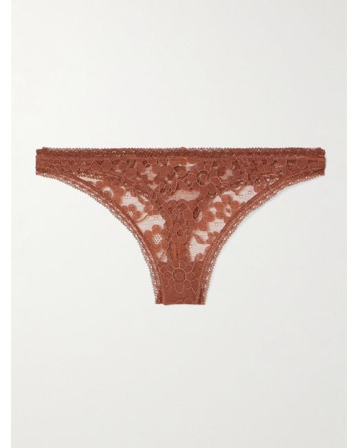 Eres Natural Marguerite Prairie Stretch-Corded Lace Briefs