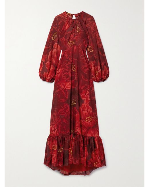 LaDoubleJ Red Eve Floral-Print Chiffon Maxi Dress