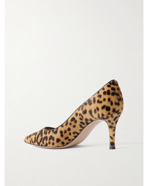 Gianvito Rossi Multicolor 70 Pumps Aus Kalbshaar Mit Leopardenprint