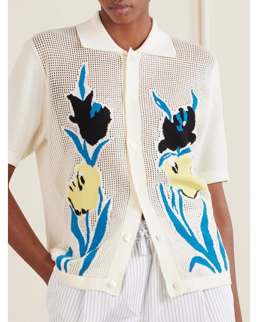 Marni Blue Intarsia Open-Knit Cotton Polo Shirt