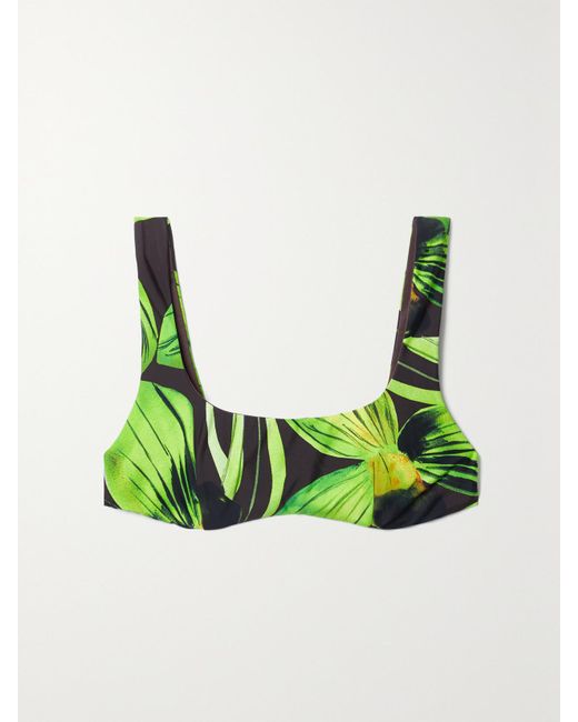 Louisa Ballou Green Printed Stretch Bikini Top