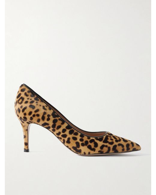 Gianvito Rossi Multicolor 70 Leopard-Print Calf Hair Pumps