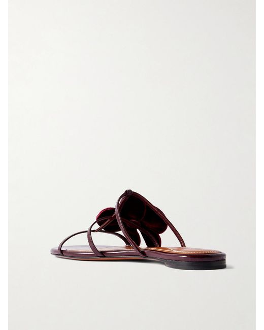 Zimmermann Brown Orchid Appliquéd Velvet-Trimmed Glossed-Leather Slides