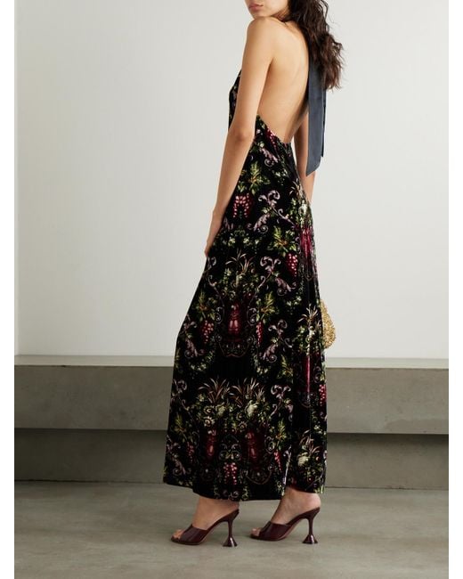 Cara Cara Black Geneva Open-Back Satin-Trimmed Floral-Print Velvet Halterneck Maxi Dress