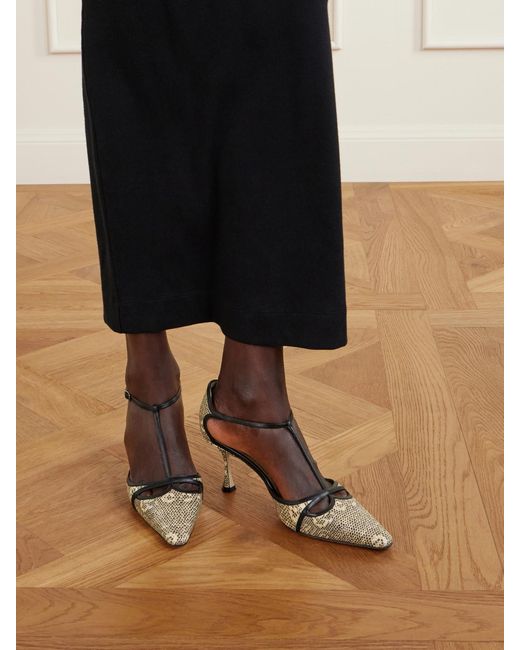 Manolo Blahnik Natural Gish 70 Lizard-Effect Leather Pumps