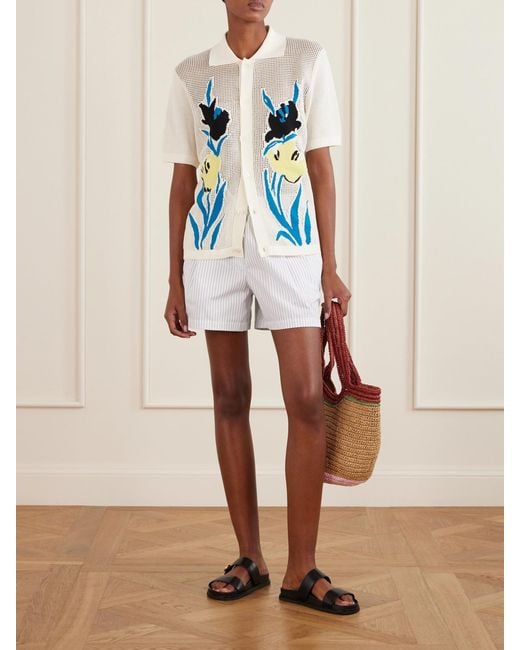 Marni Blue Intarsia Open-Knit Cotton Polo Shirt