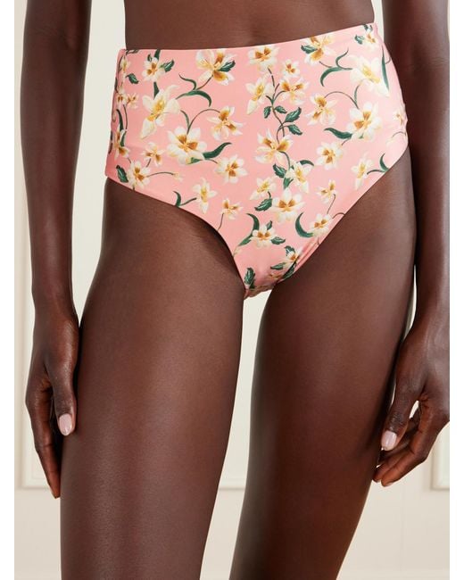 Agua Bendita Pink Promesa Floral-Print Bikini Brief