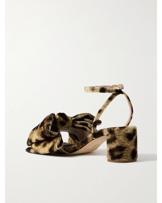 Loeffler Randall Multicolor Carmen Bow-Embellished Leopard-Print Velvet Sandals