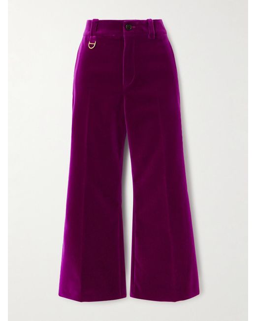 Chloé Purple Verkürzte Bootcut-Hose Aus Baumwollsamt