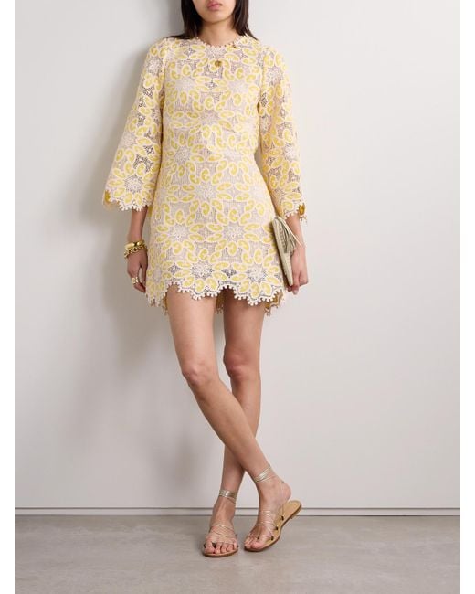 Zimmermann Natural Golden Cotton-Lace Mini Dress