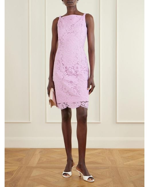 Patou Pink Floral-Embroidered Cotton-Blend Guipure Lace Midi Dress