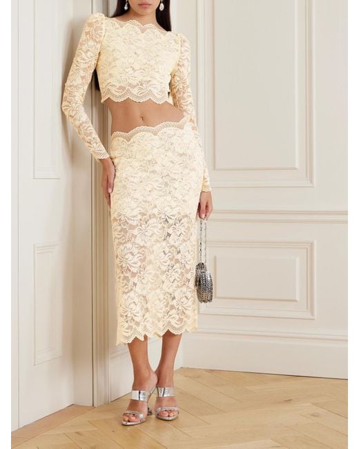 Rabanne Natural Scalloped Cropped Lace Top