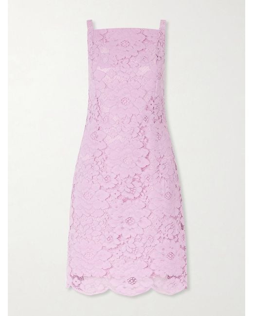 Patou Pink Floral-Embroidered Cotton-Blend Guipure Lace Midi Dress