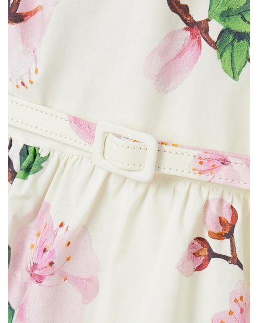 Oscar de la Renta Natural Belted Tiered Floral-Print Cotton-Blend Poplin Mini Dress