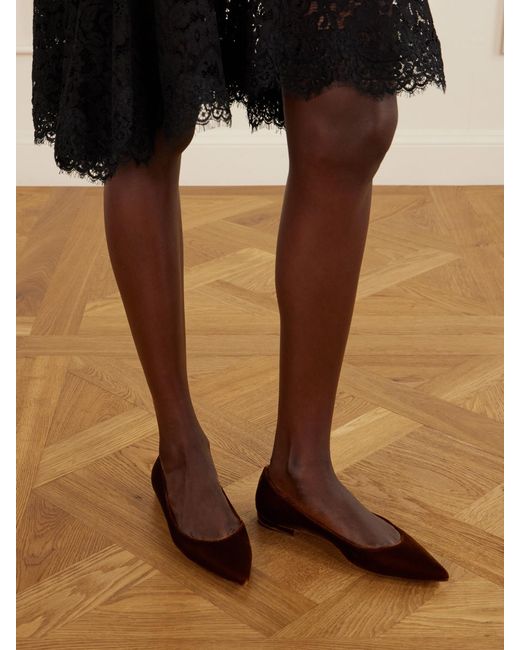 Gianvito Rossi Brown Gianvito Velvet Ballet Flats