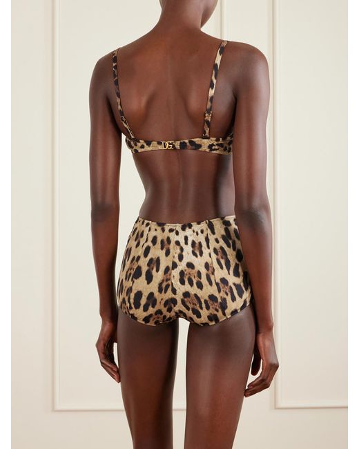 Dolce & Gabbana Brown Leopard-Print Balconette Bikini Top