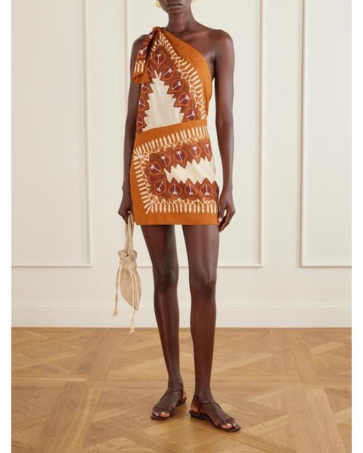 Johanna Ortiz Natural Sun Traveller Printed Cotton-Voile Mini Dress