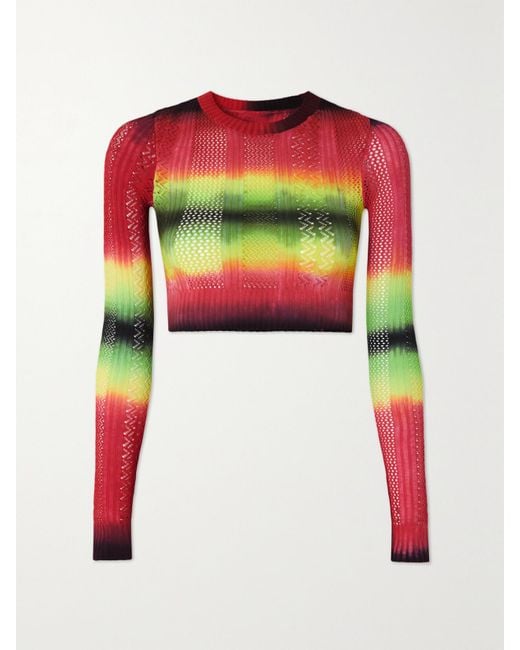 AGR Women's White Cropped Ombré Pointelle-Knit Sweater