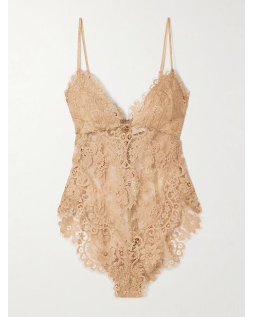 Zimmermann Natural Illusion Velvet-Trimmed Lace Bodysuit