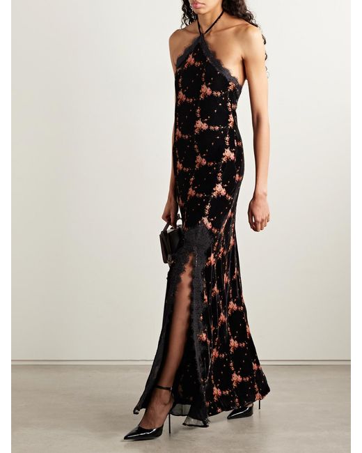Cara Cara Black June Lace-Trimmed Floral-Print Velvet Halterneck Maxi Dress