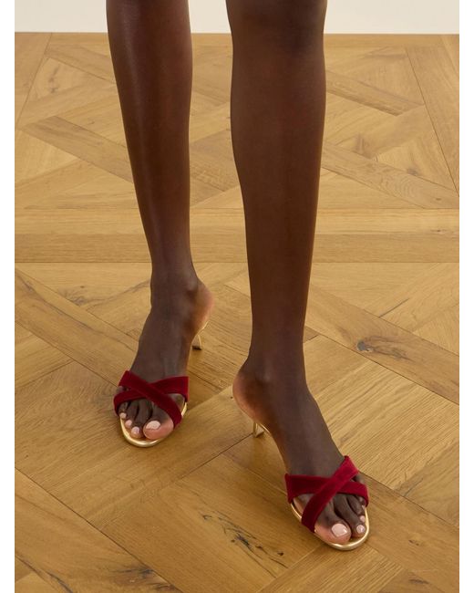 Manolo Blahnik Pink Callydramu 50 Velvet Sandals