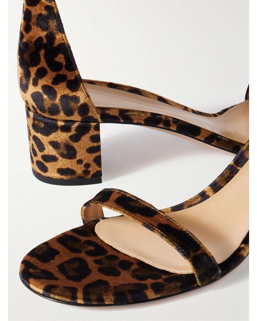 Gianvito Rossi Natural Gaeta 45 Leopard-Print Velvet Sandals