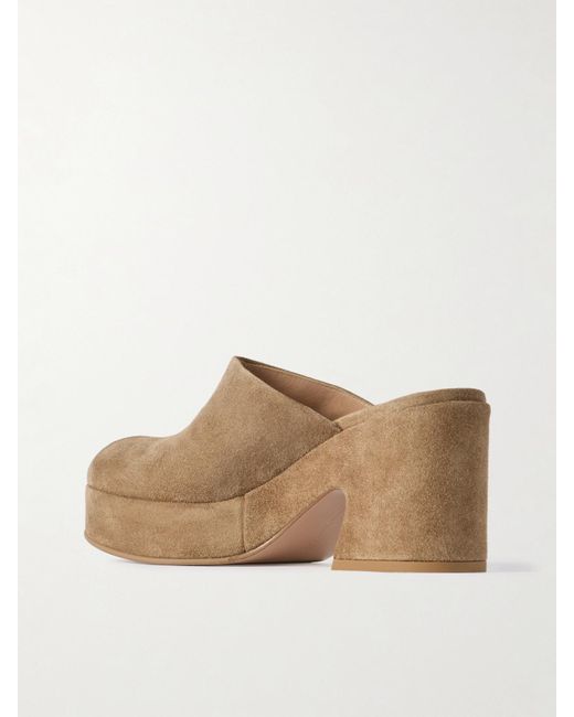 Gianvito Rossi Brown Lyss 55 Suede Mules