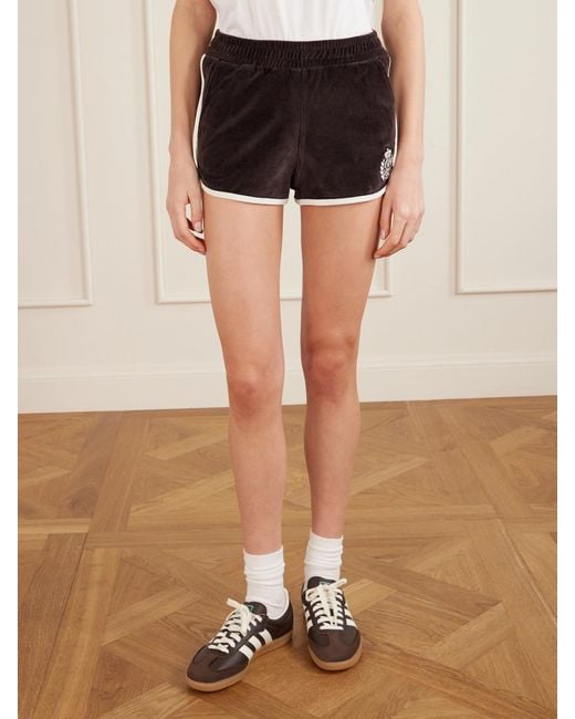 Sporty & Rich Black Embroidered Cotton-Velour Shorts