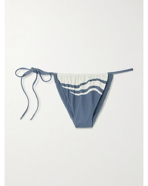 Sir Blue Lilou Printed Bikini Briefs
