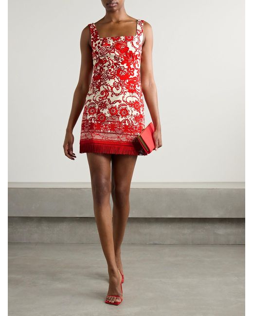 Cara Cara Red Anna Fringed Printed Cotton-Blend Mini Dress