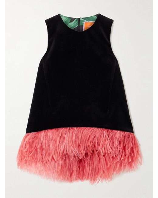 LaDoubleJ Red La Scala Feather-Trimmed Cotton-Velvet Top