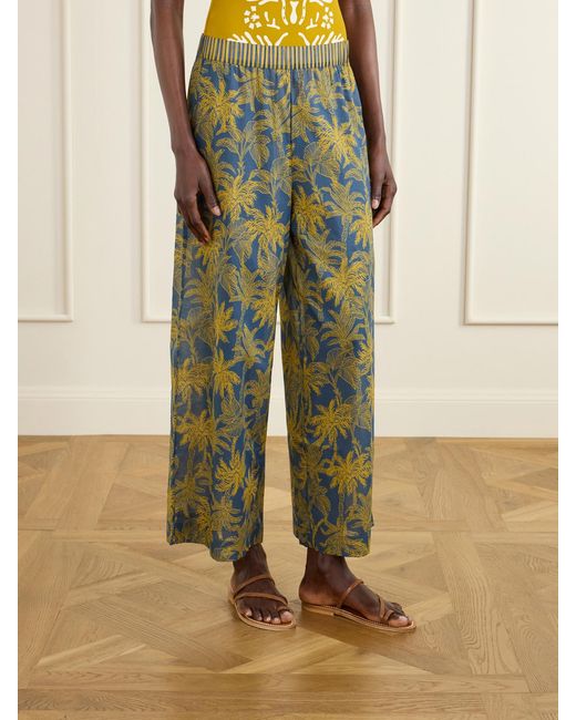 Eres Blue Itinerant Printed Cotton-Voile Straight-Leg Pants