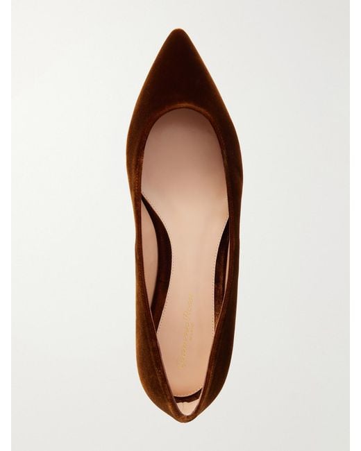 Gianvito Rossi Brown Gianvito Velvet Ballet Flats