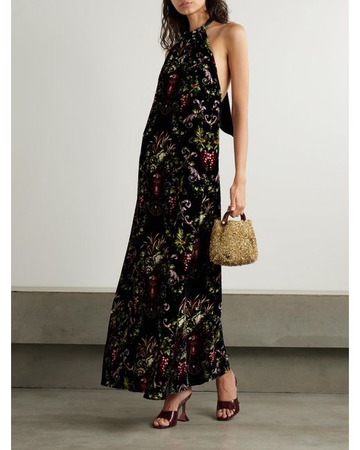 Cara Cara Black Geneva Open-Back Satin-Trimmed Floral-Print Velvet Halterneck Maxi Dress