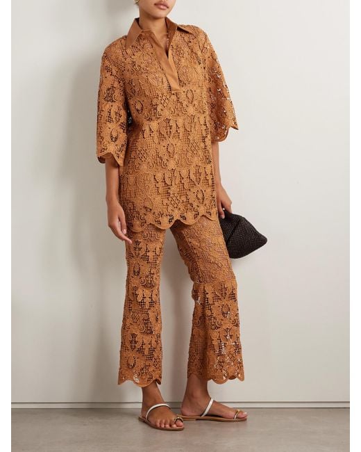 Zimmermann Brown Coco Belted Guipure Lace Cotton Flared Pants